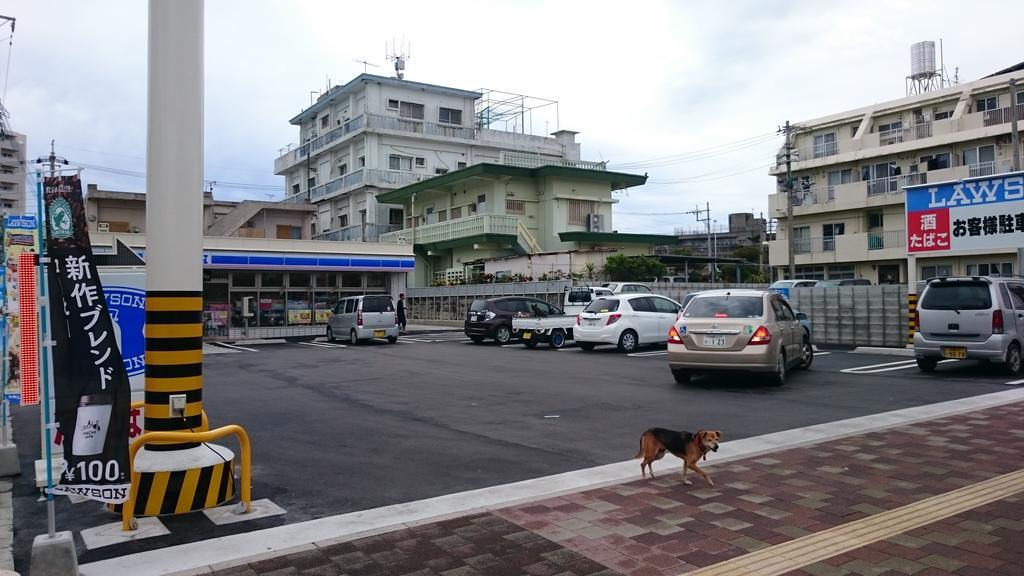 Koza Share House Hotell Okinawa Eksteriør bilde